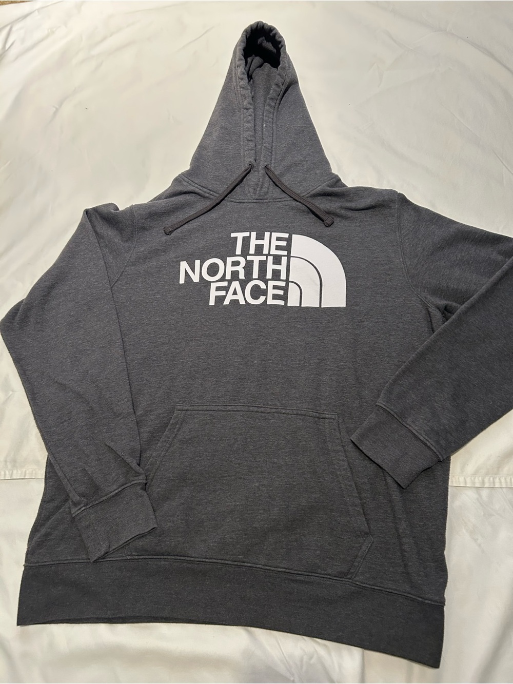 The North Face Mens XL Gray Hoodie Outdoor Hiking Gorpcore Streetwear Fleece
